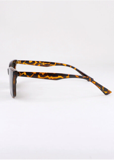 Lentes clásicos carey