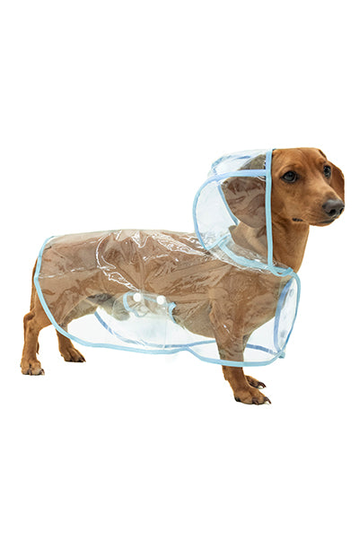 Impermeable para mascota gorro
