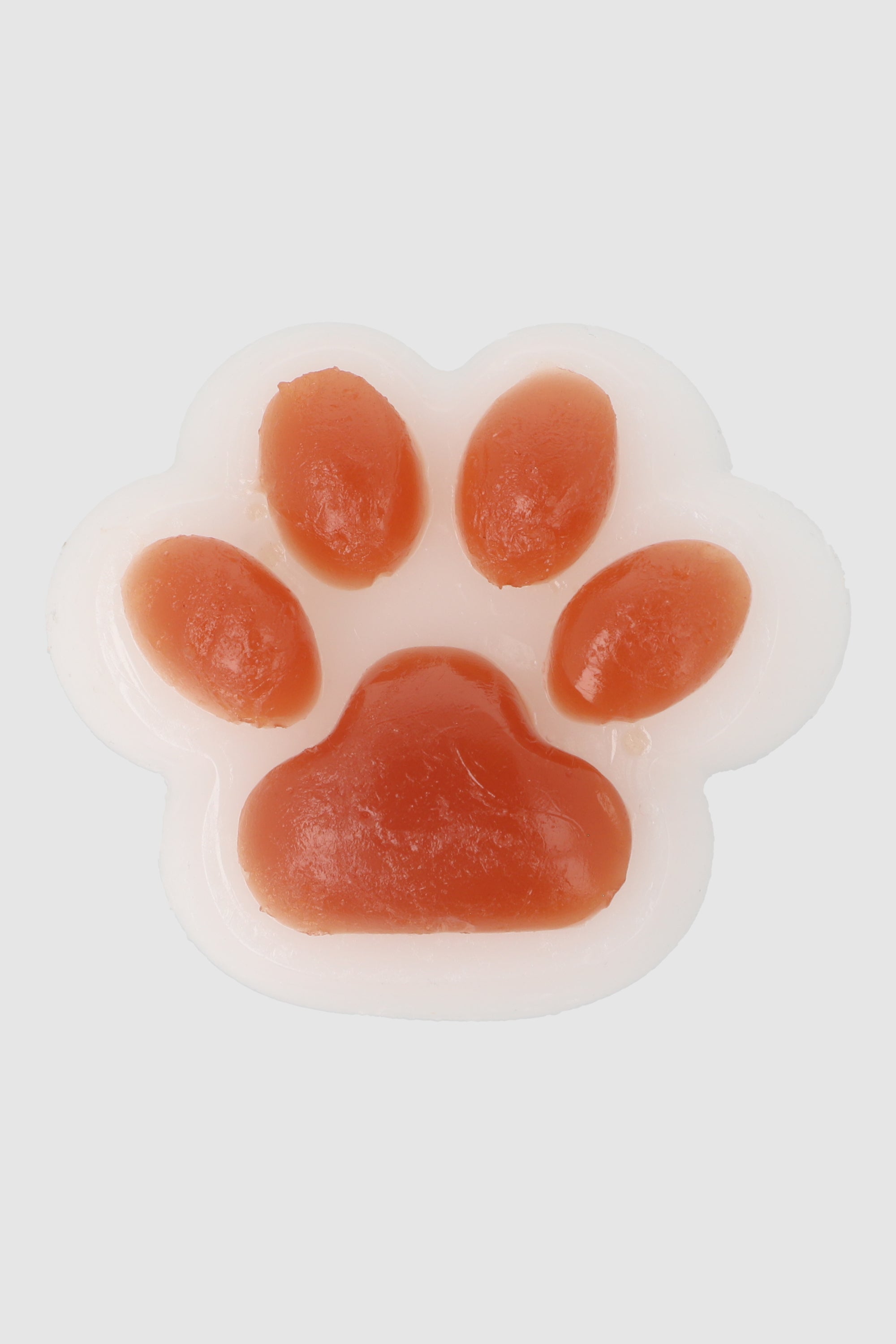 Squishy Huellita Perro
