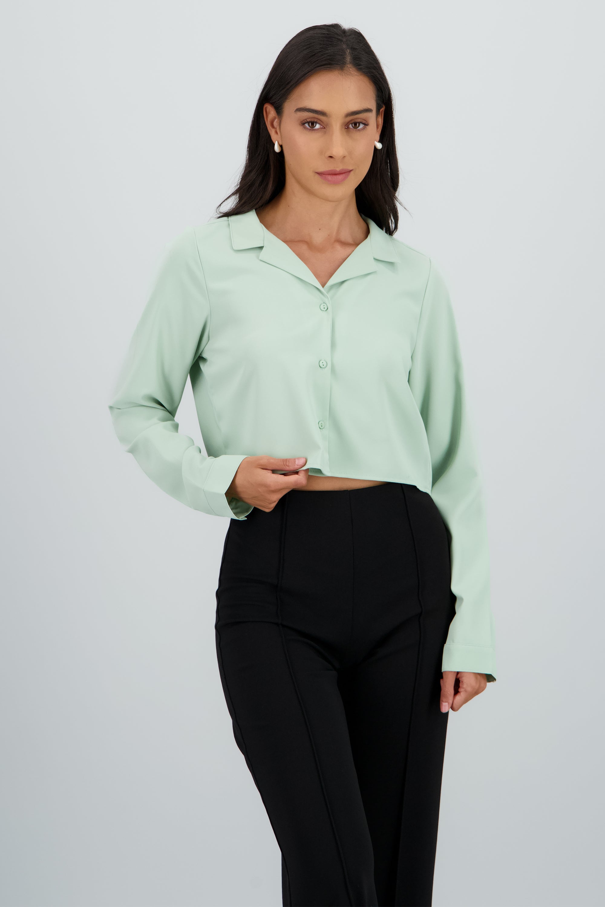 Camisa Lisa Manga Larga