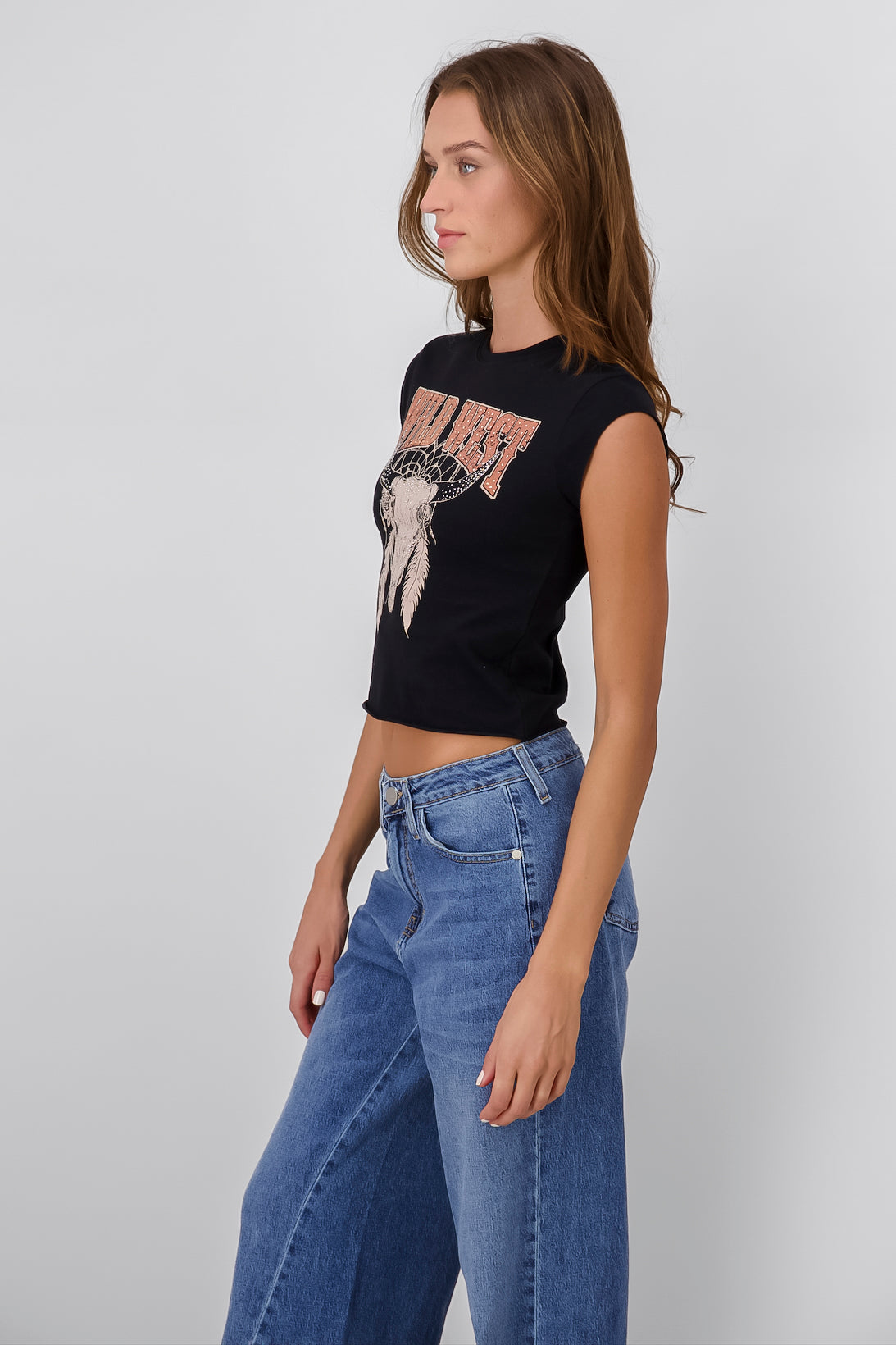 Top wild west brillos