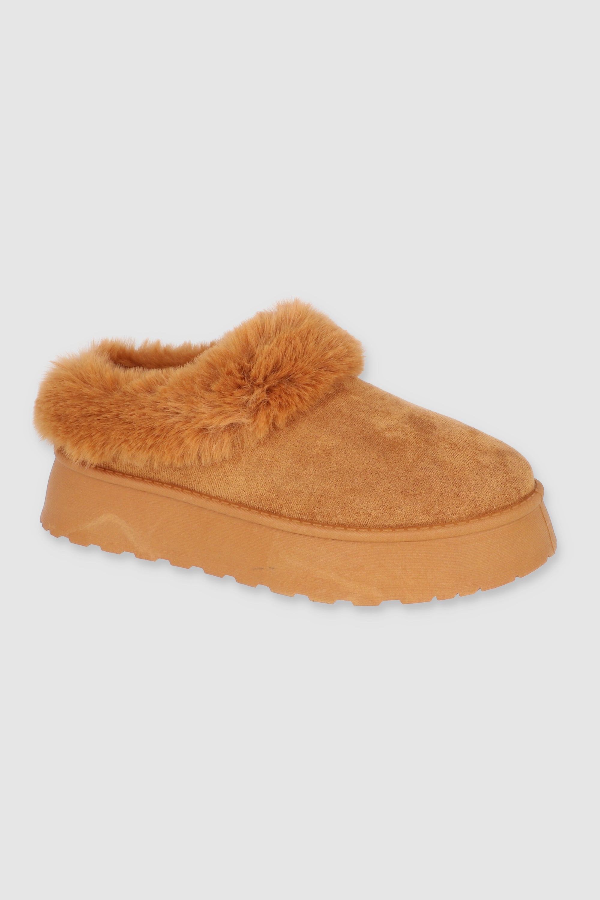 CAMEL
