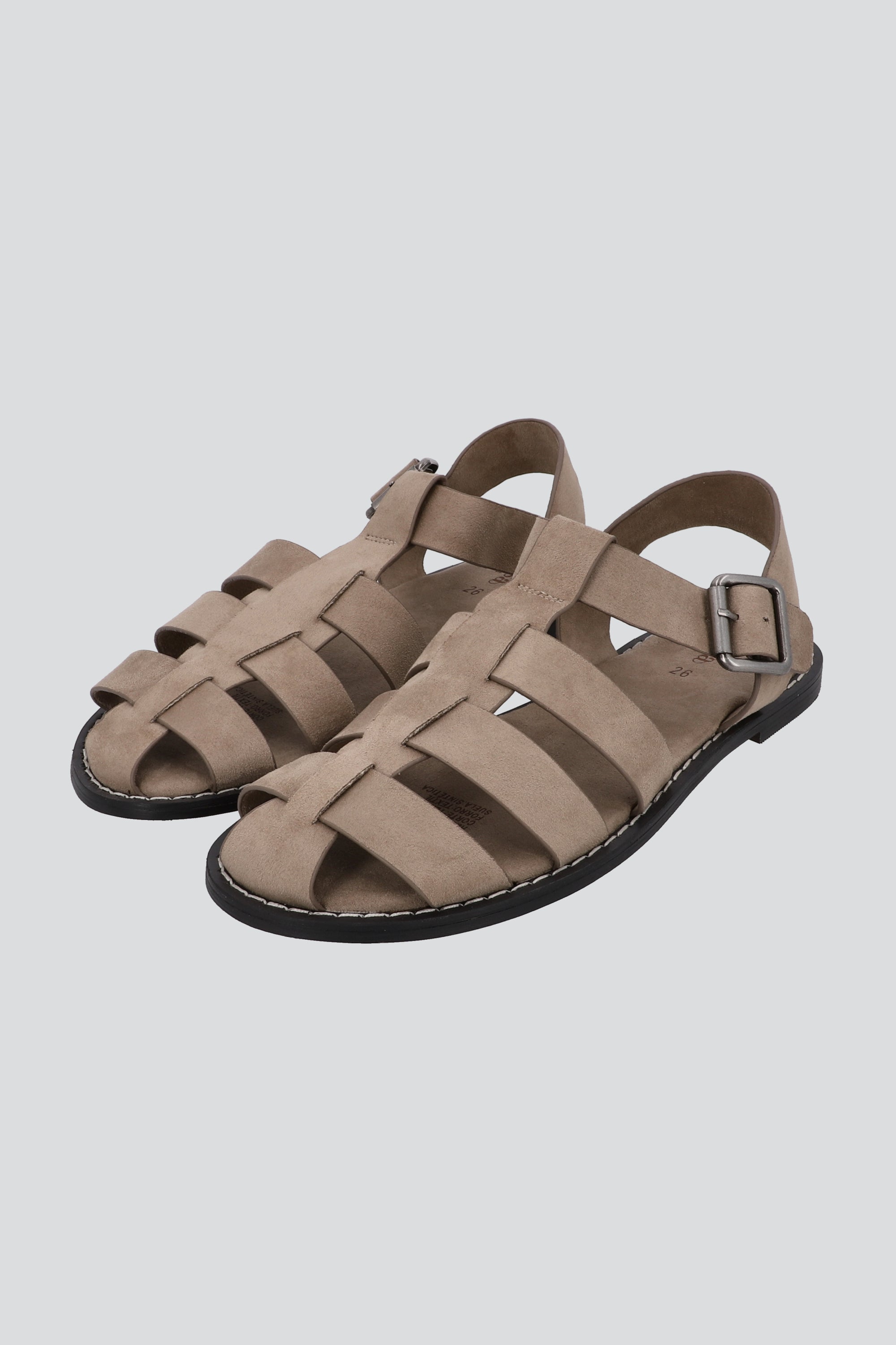 TAUPE