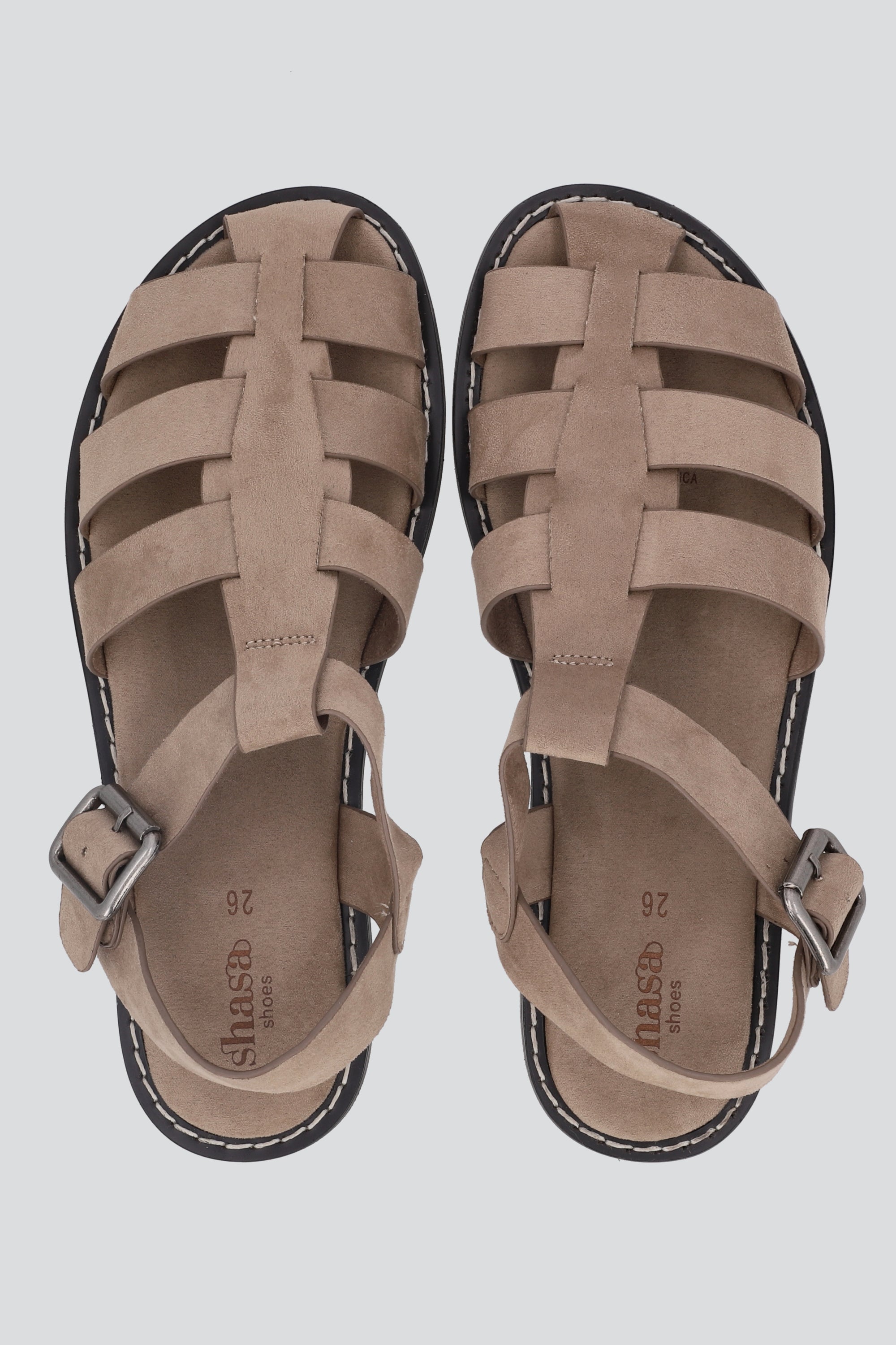 TAUPE