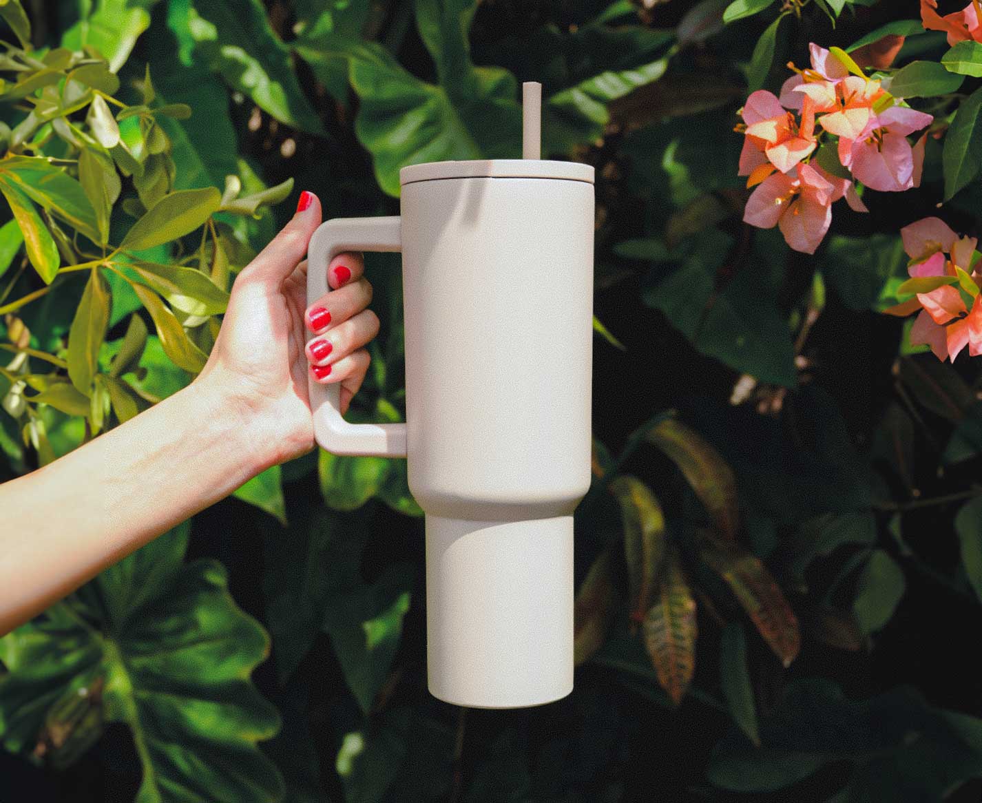 Botellas | Tazas