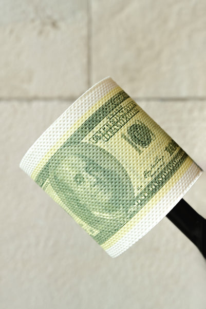 Papel higiénico dólar