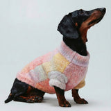 Sueter mascota degradado