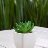 Planta artificial decorativa