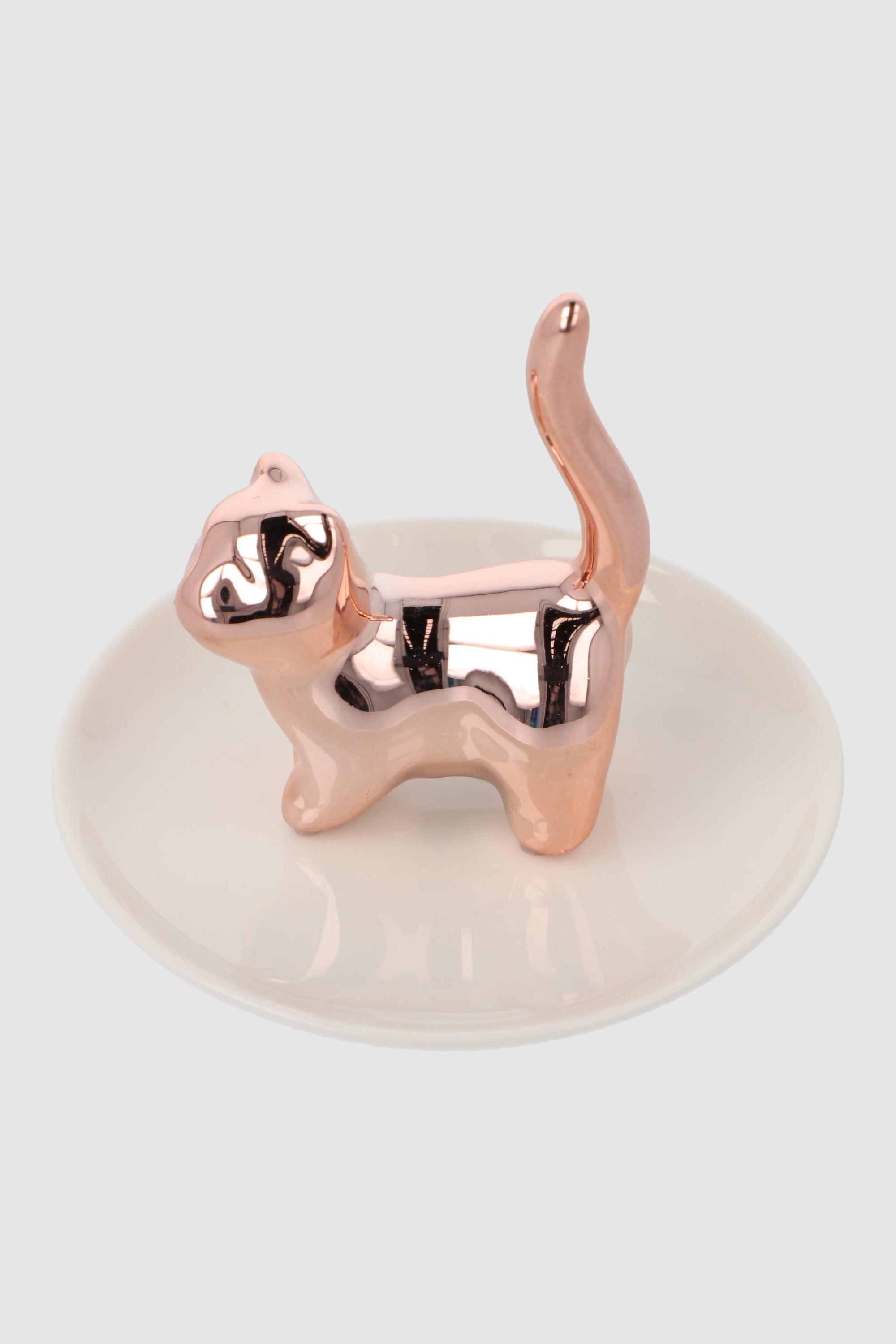 alhajero gatito