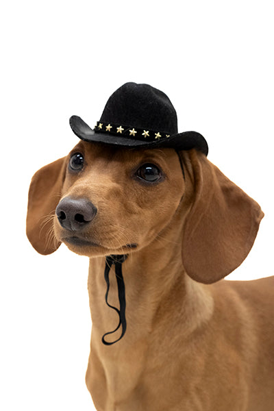 Sombrero vaquero mascota chico