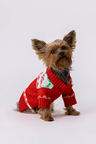 Suéter Tejido Noche Buena Mascota Chico ROJO
