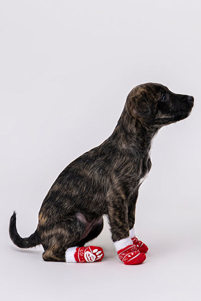 Set 2 Pares Calcetines Navideños Para Mascota Chic ROJO