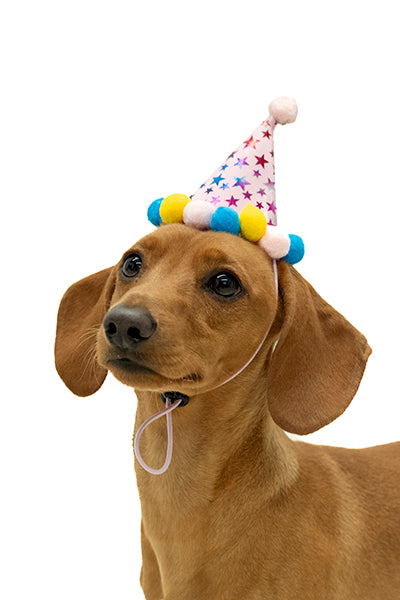 Gorrito cumpleañero mascota