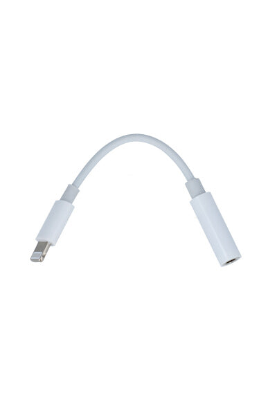 Adaptador auxiliar lightning liso