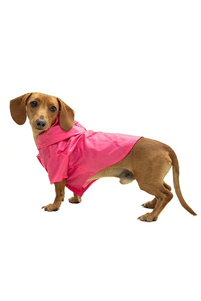 Impermeable para mascota chico