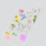 TRANSPARENT