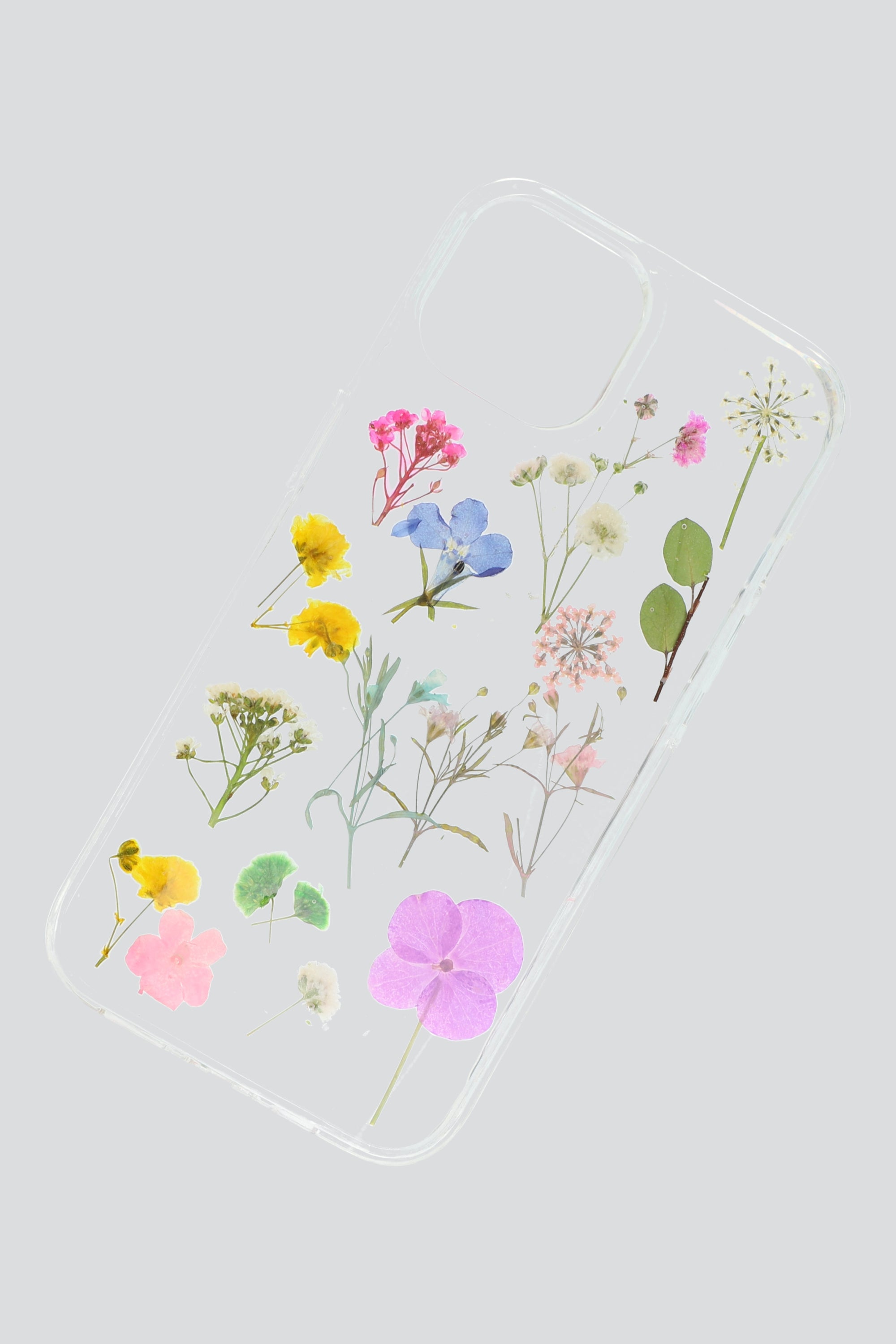 TRANSPARENT