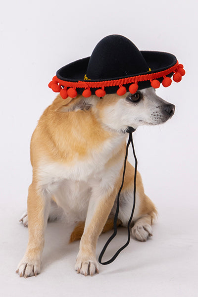 Sombrero para mascota mariachi borlas NEGRO