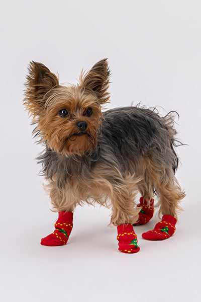 Calcetines Mascota Navideños