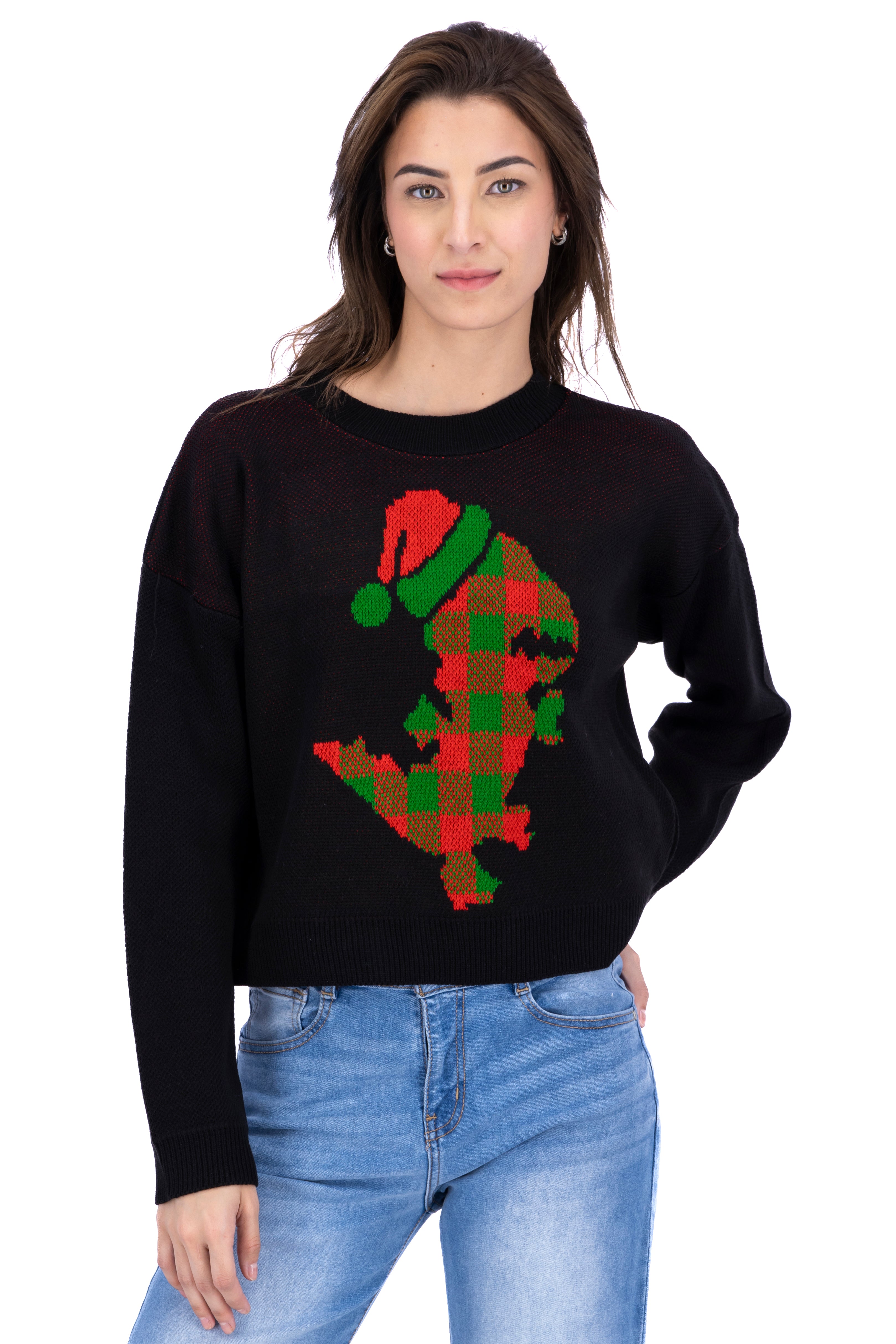 Suéter navideño dinosaurio NEGRO COMBO
