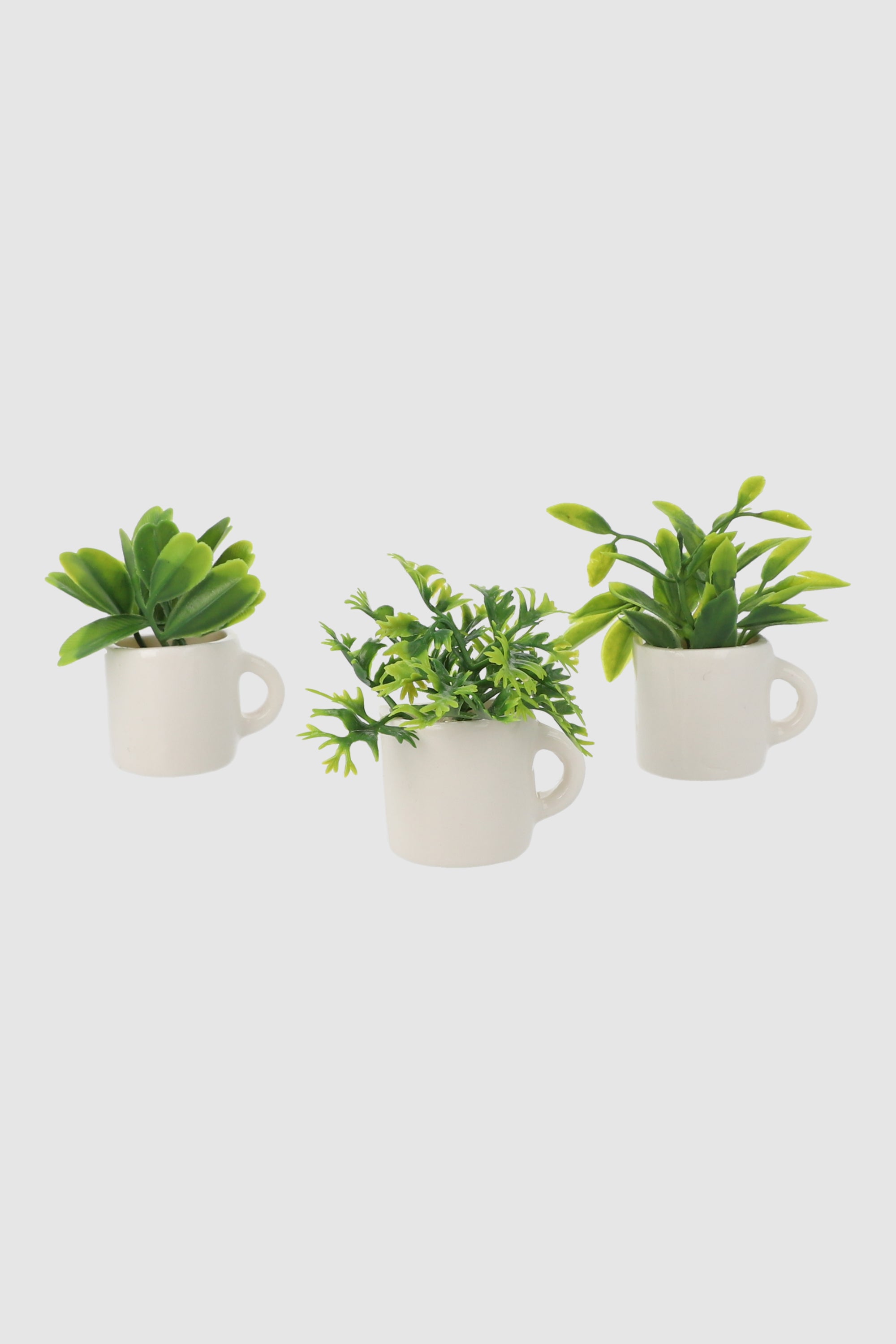 Set De 3 Imanes Plantitas BLANCO