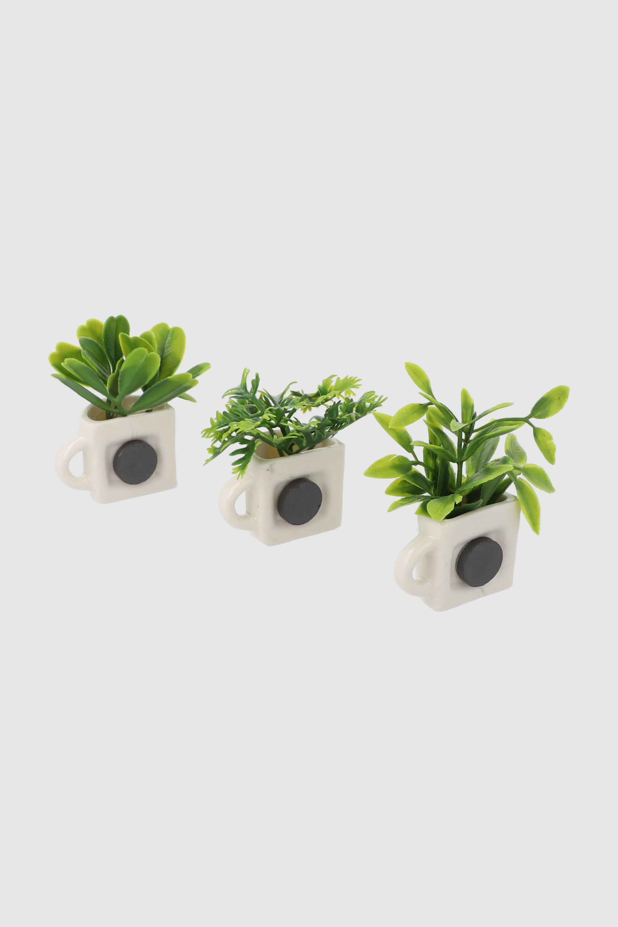 Set De 3 Imanes Plantitas BLANCO