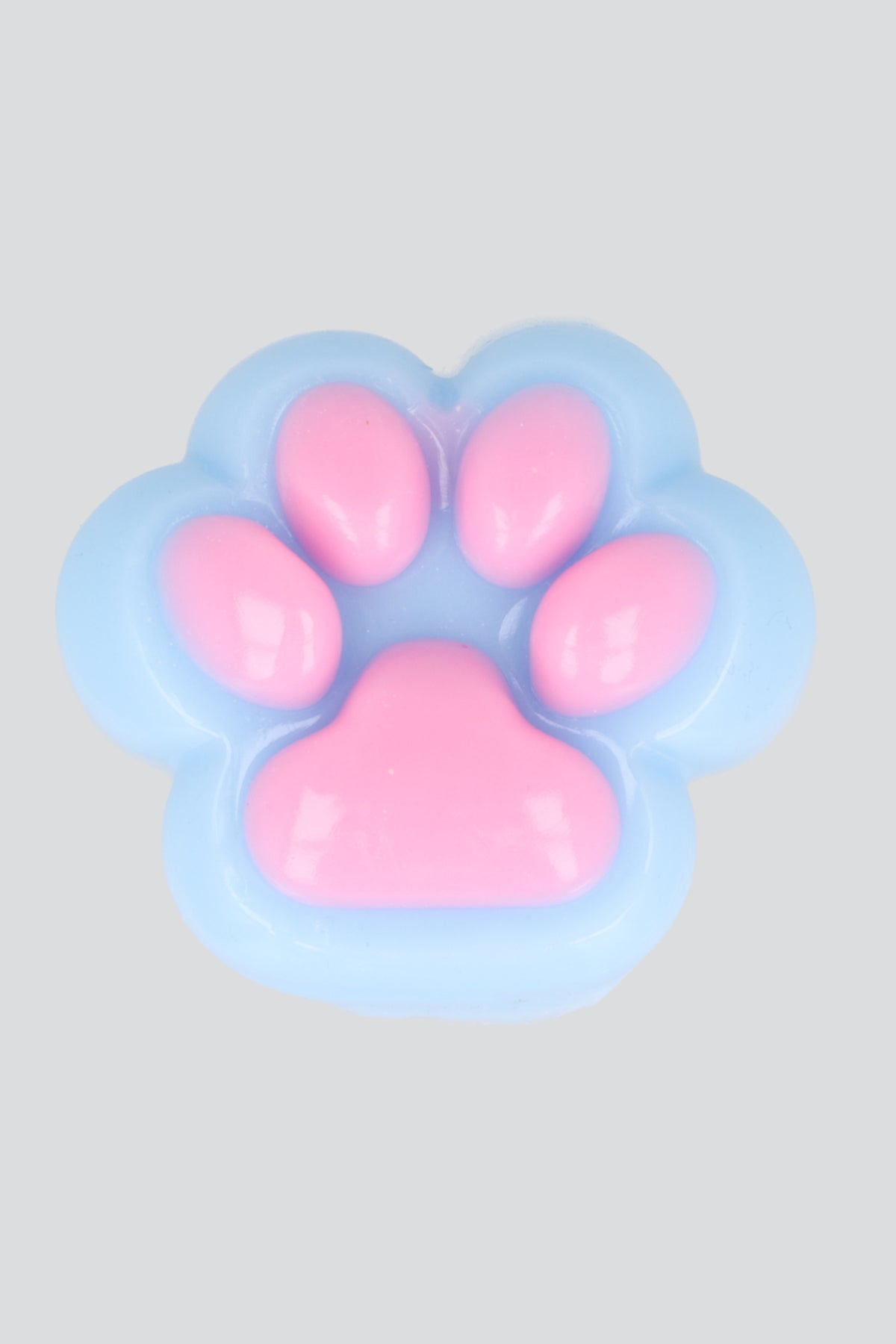 Squishy Huellita Perro