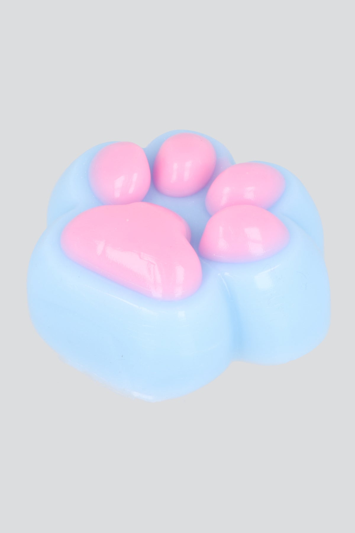 Squishy Huellita Perro