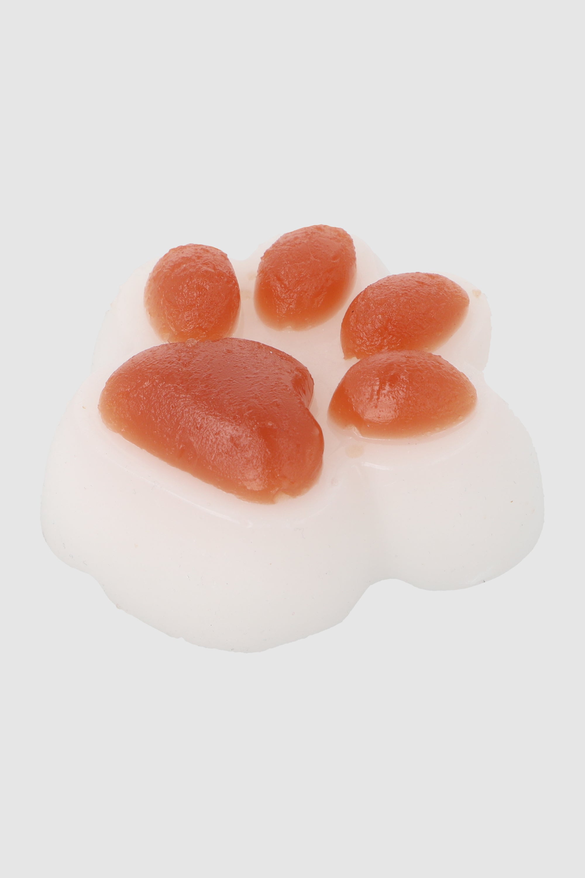 Squishy Huellita Perro
