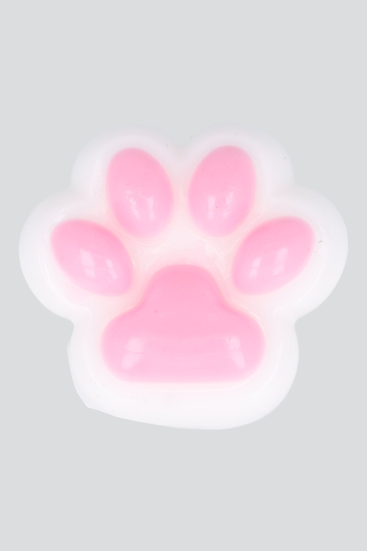 Squishy Huellita Perro
