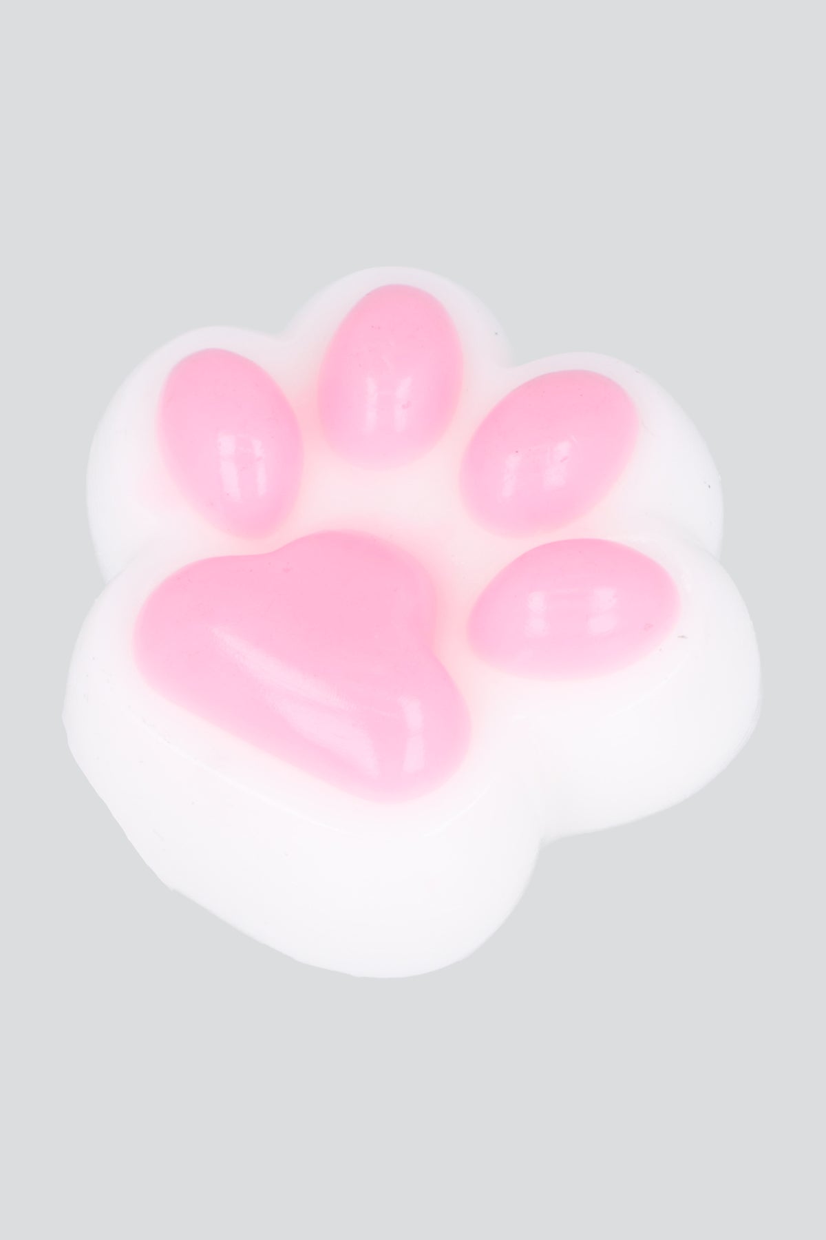 Squishy Huellita Perro