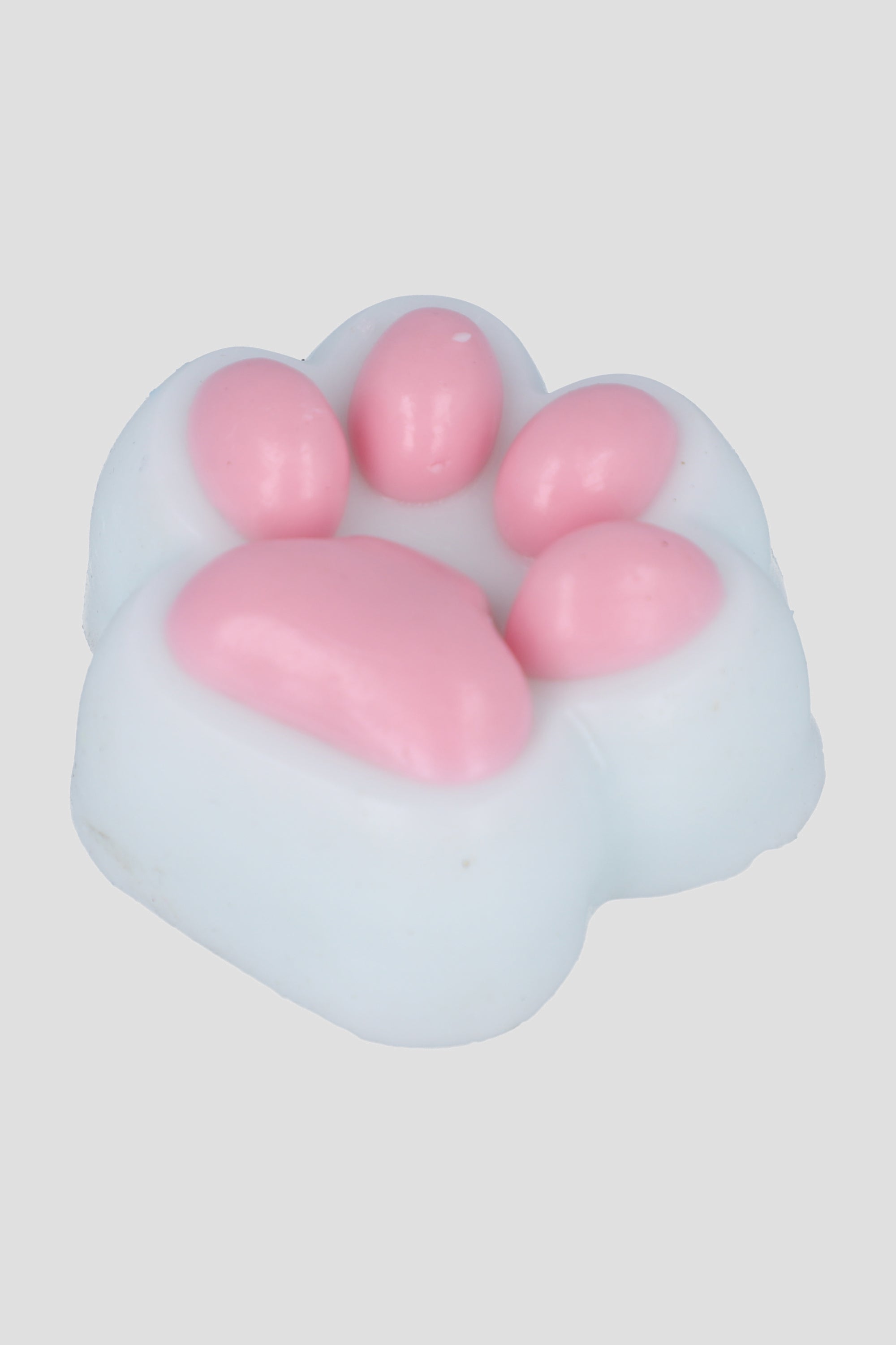 Squishy Huellita Perro