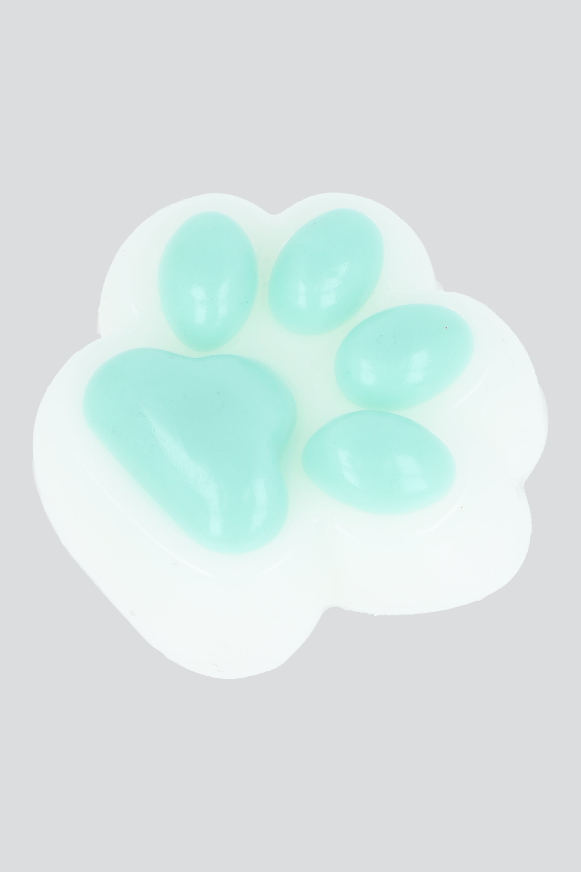 Squishy Huellita Perro MENTA