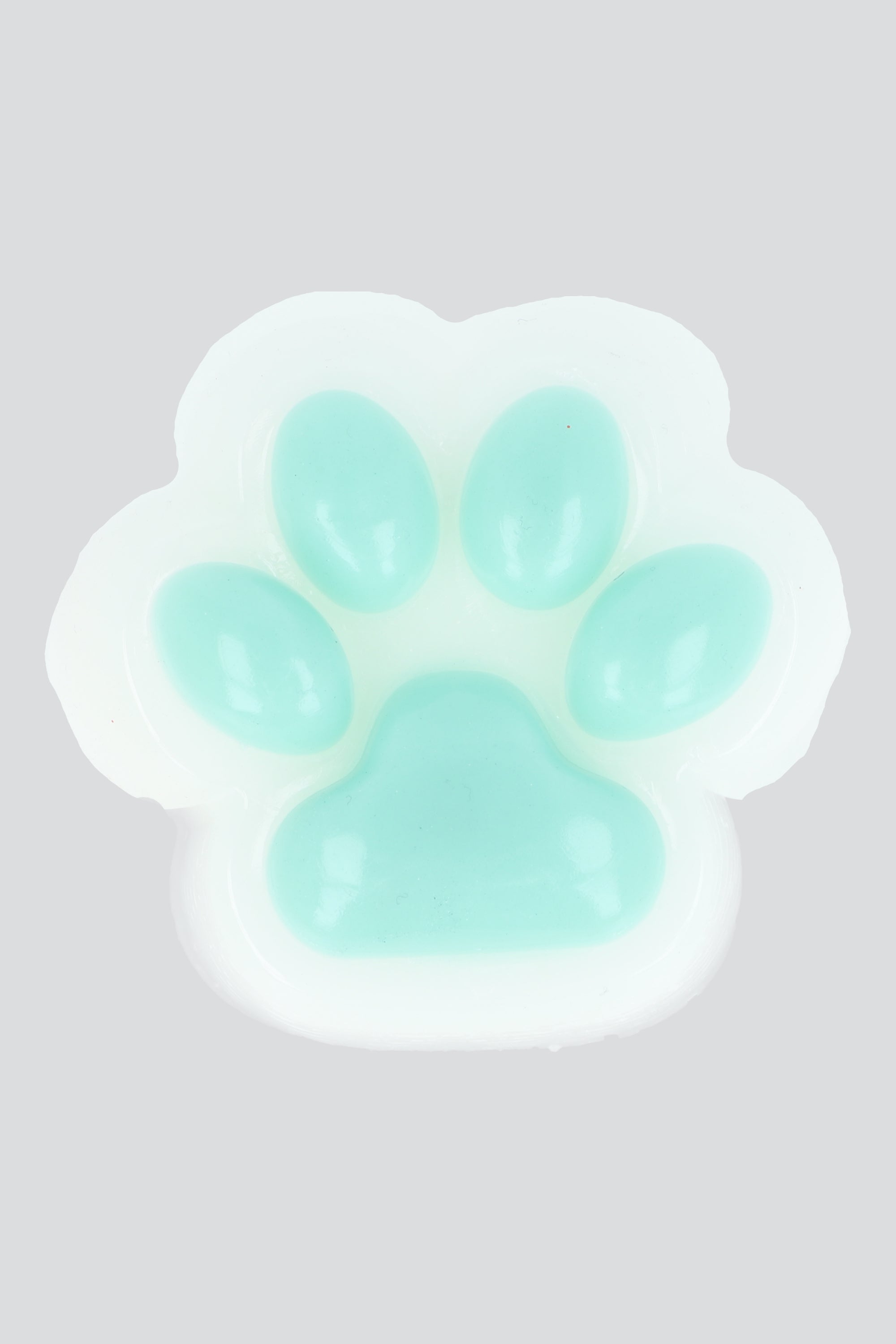 Squishy Huellita Perro MENTA