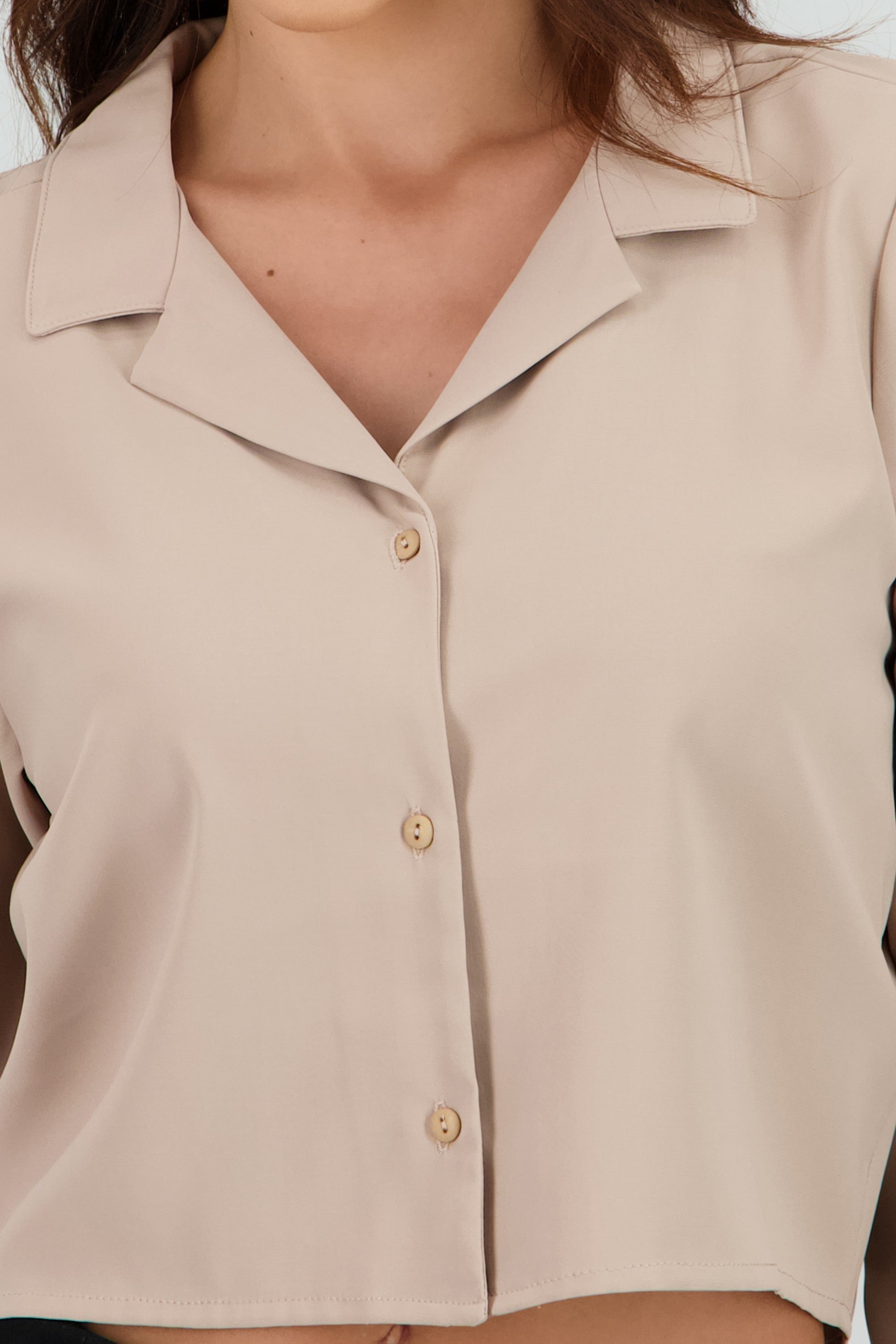 Camisa Lisa Manga Larga CAMELLO
