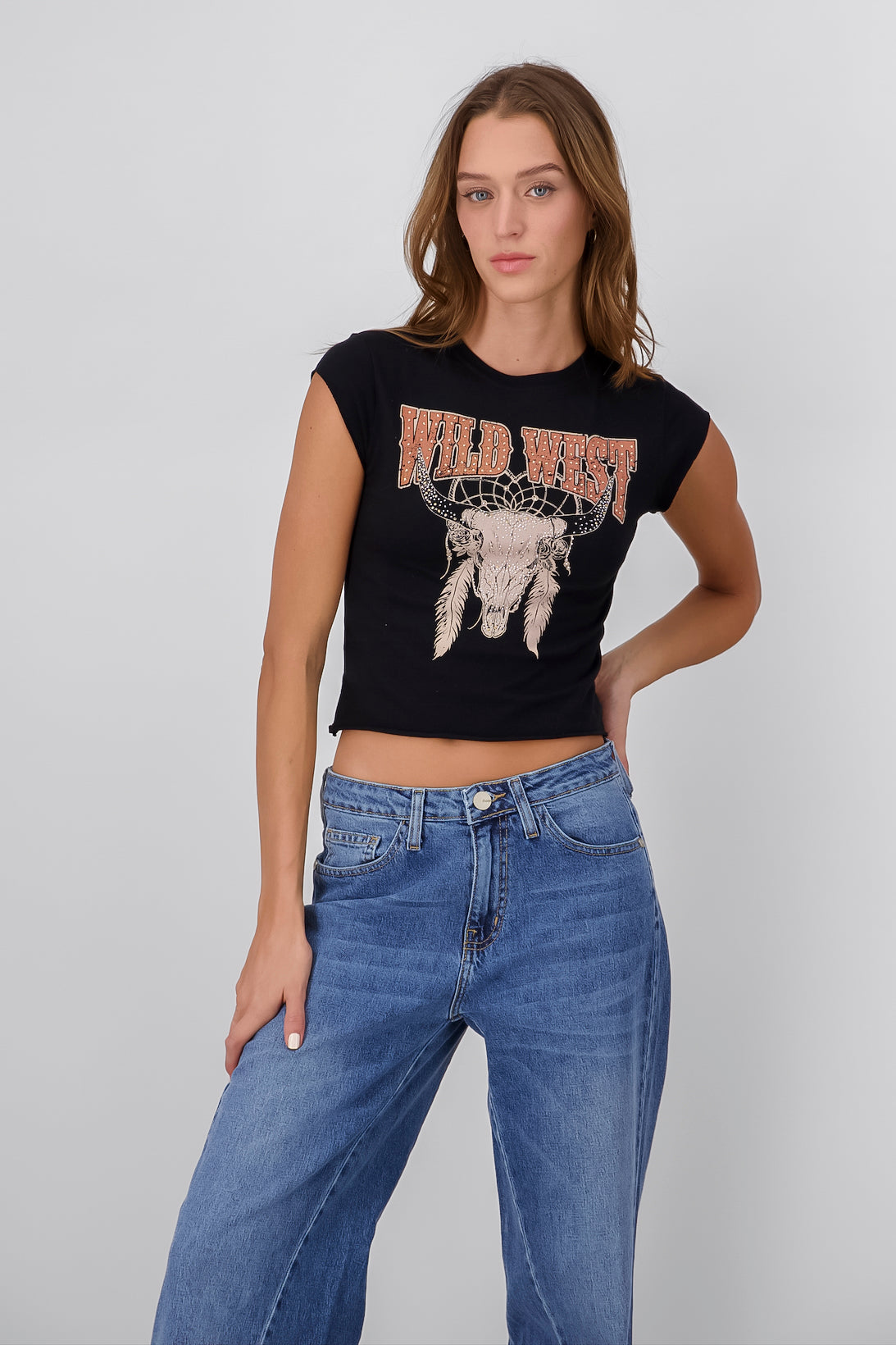 Top wild west brillos