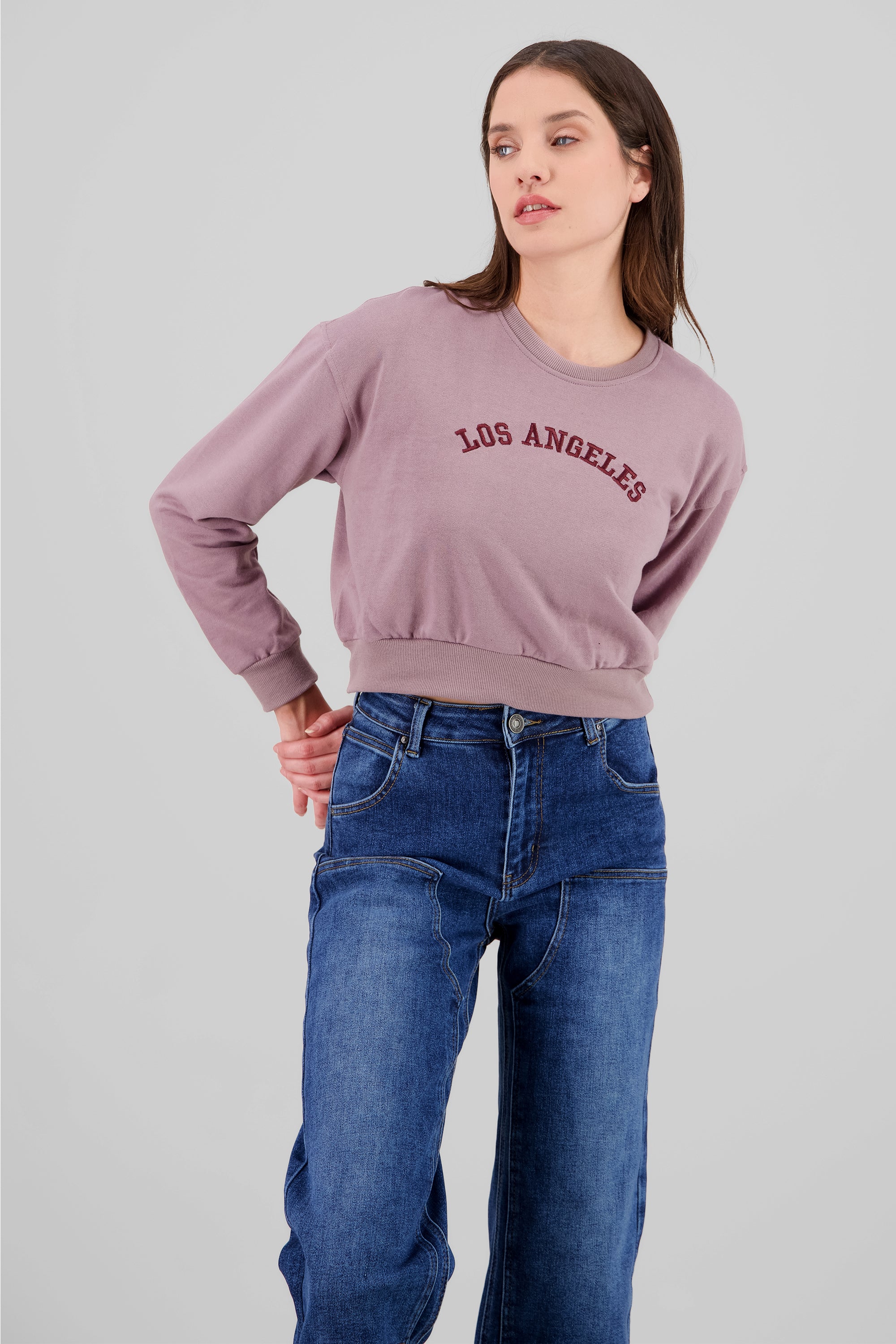 Sudadera cropped los angeles MALVA