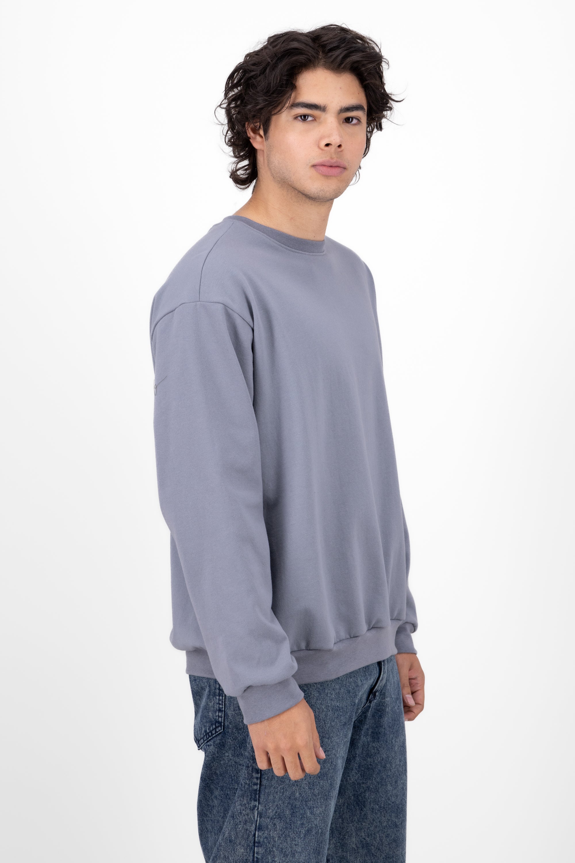Sudadera Sin Gorra Básica GRIS