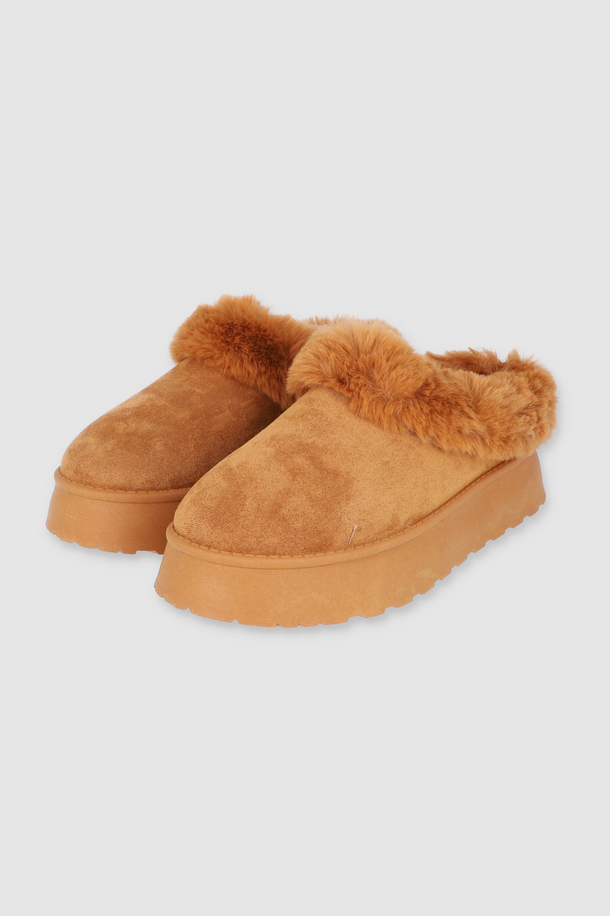 CAMEL