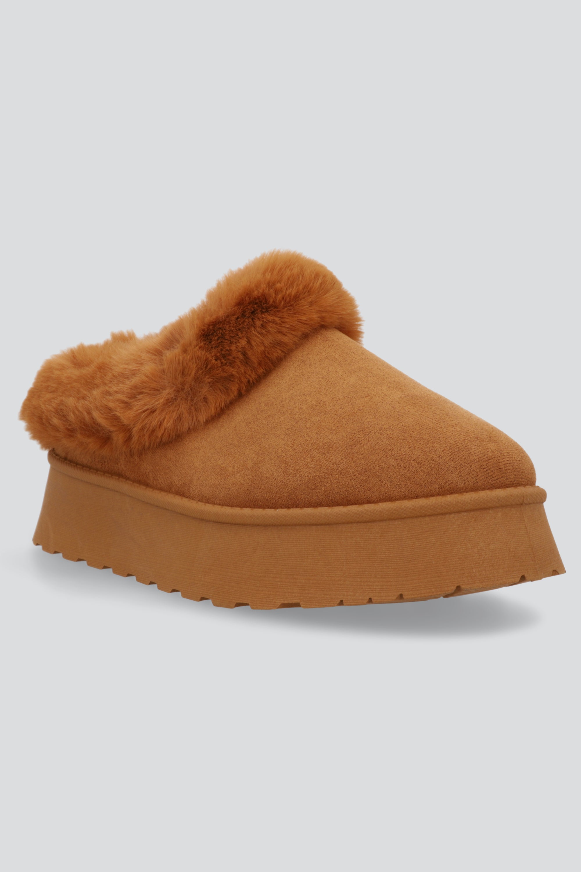 CAMEL