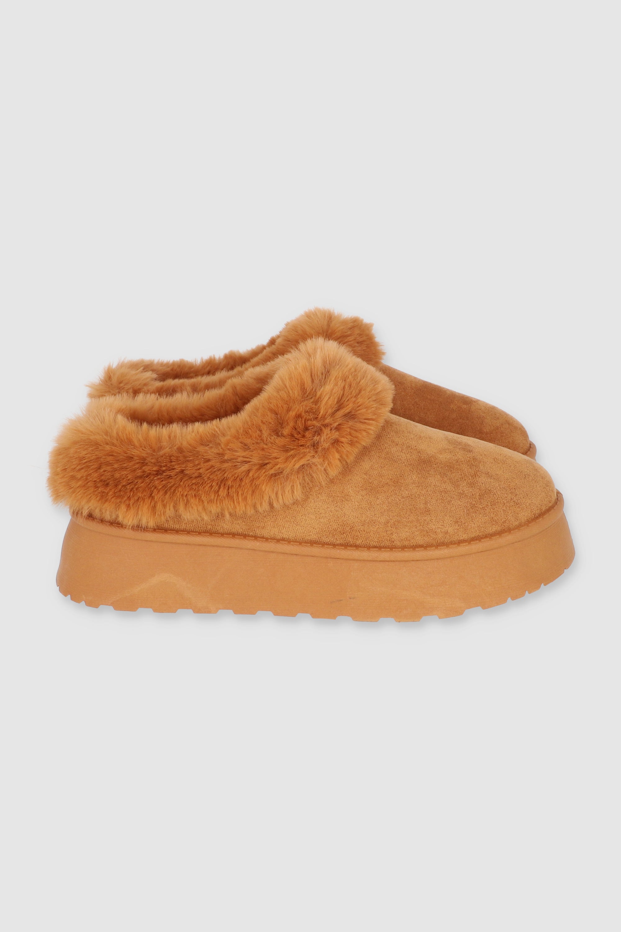 CAMEL