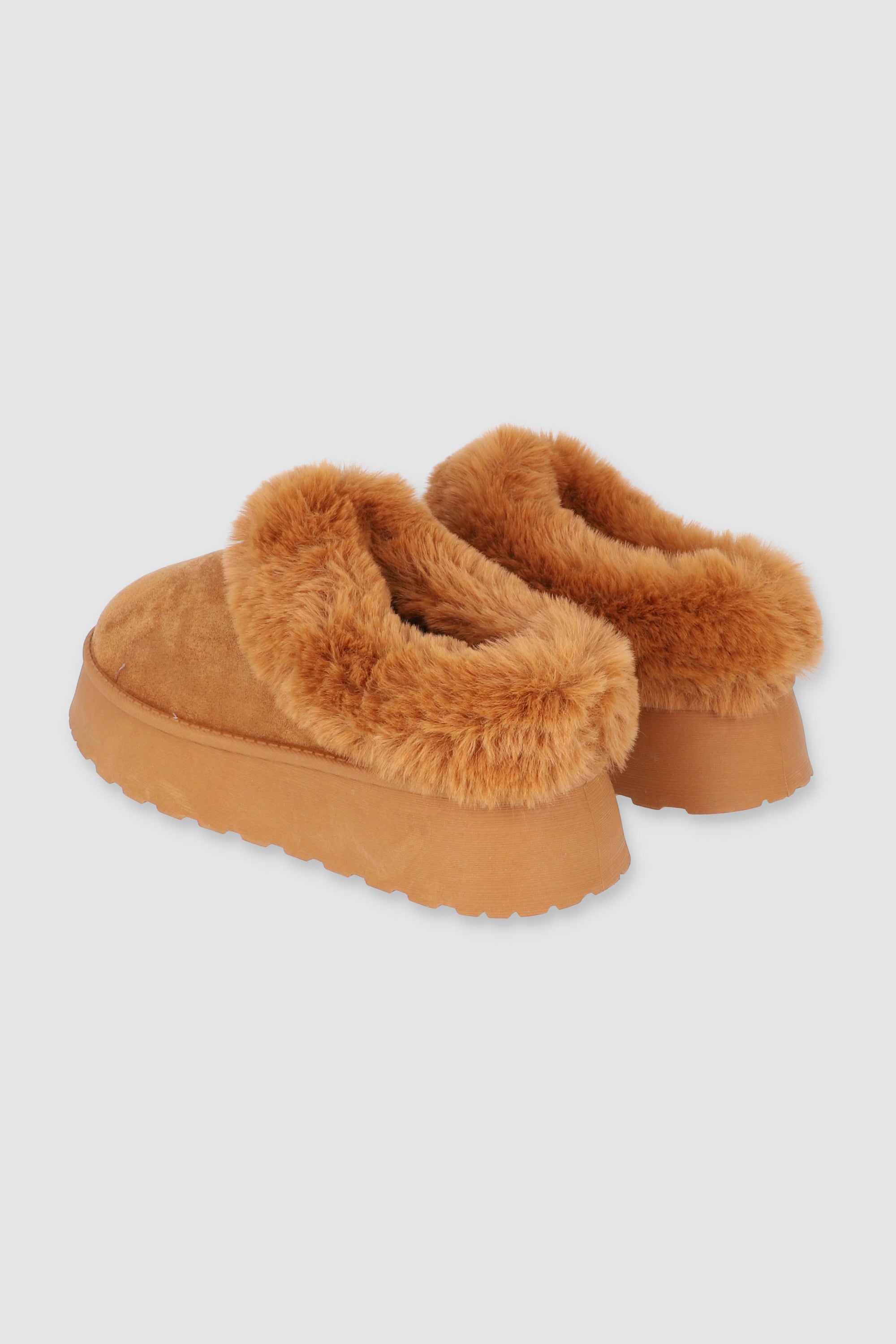 CAMEL