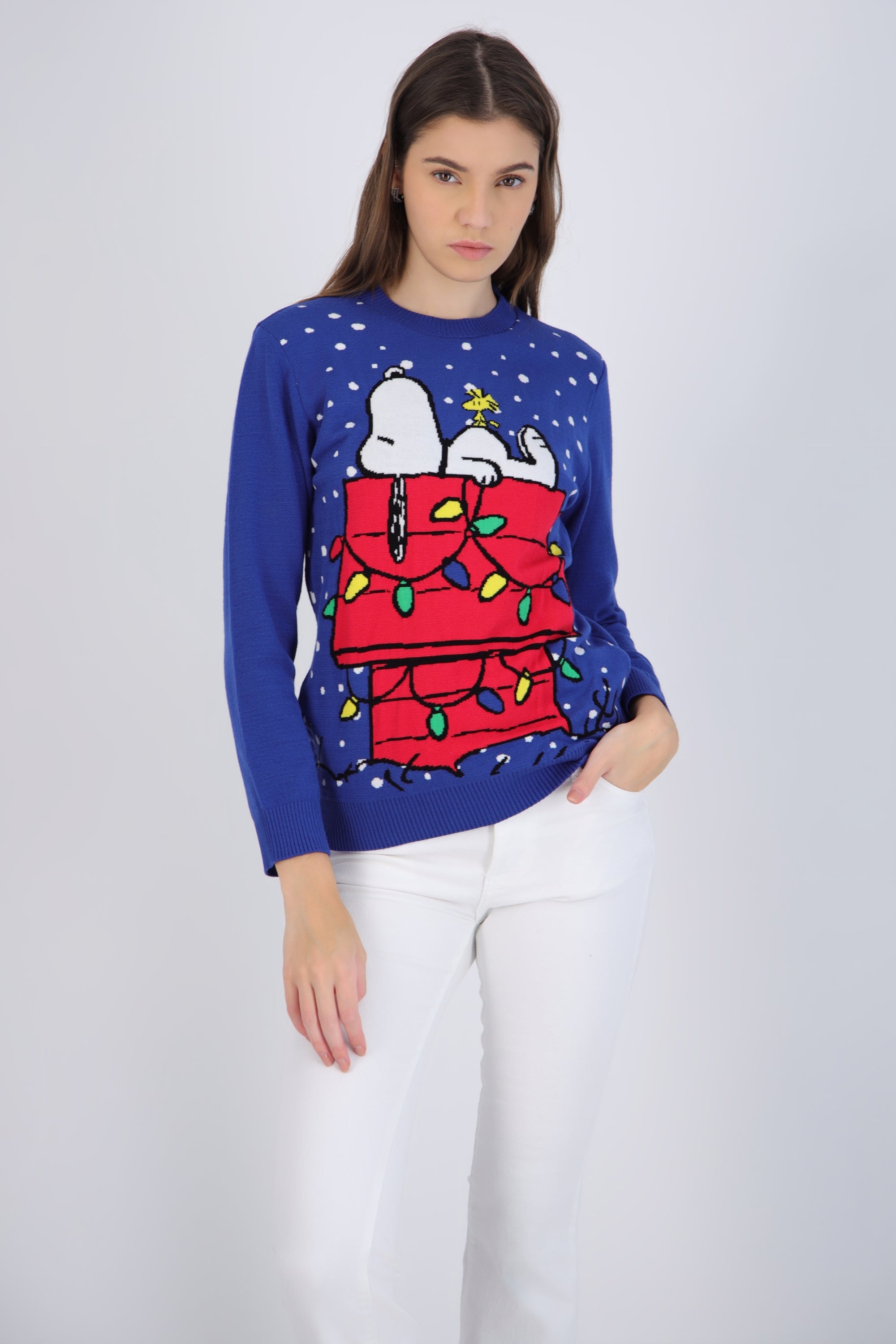 sueter snoopy casa copos