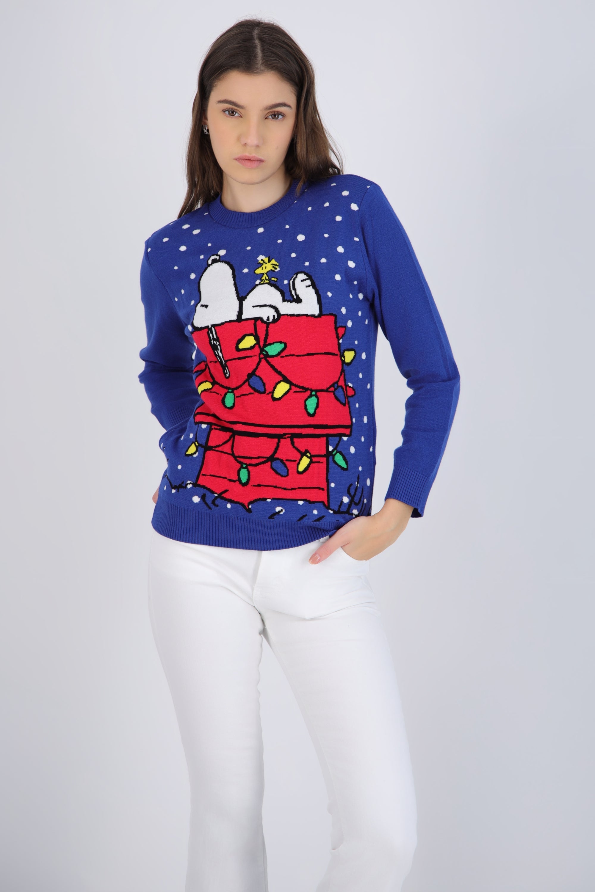 sueter snoopy casa copos