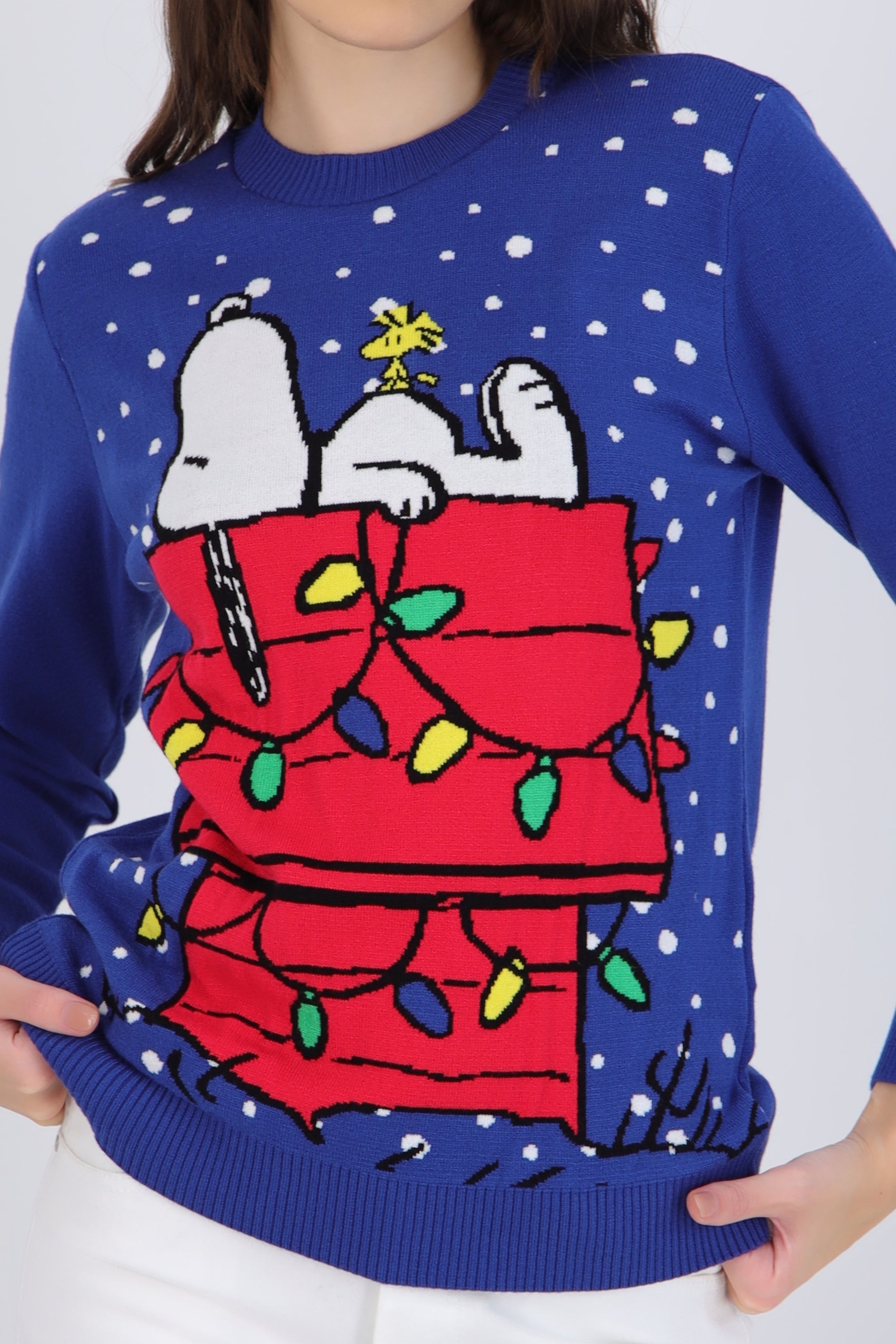 sueter snoopy casa copos