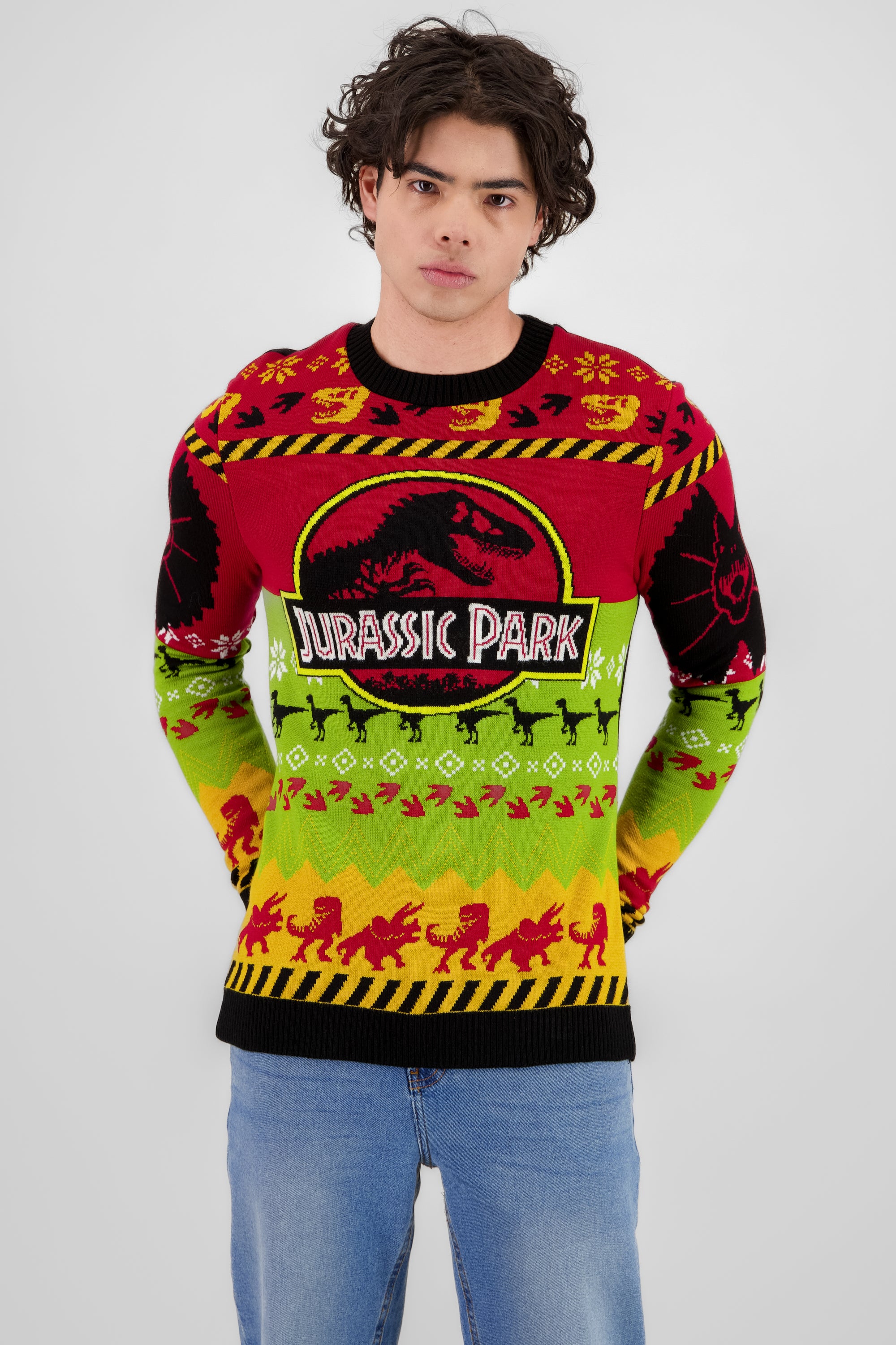 Sweater jurassic park MULTICOLOR BRILLANTE