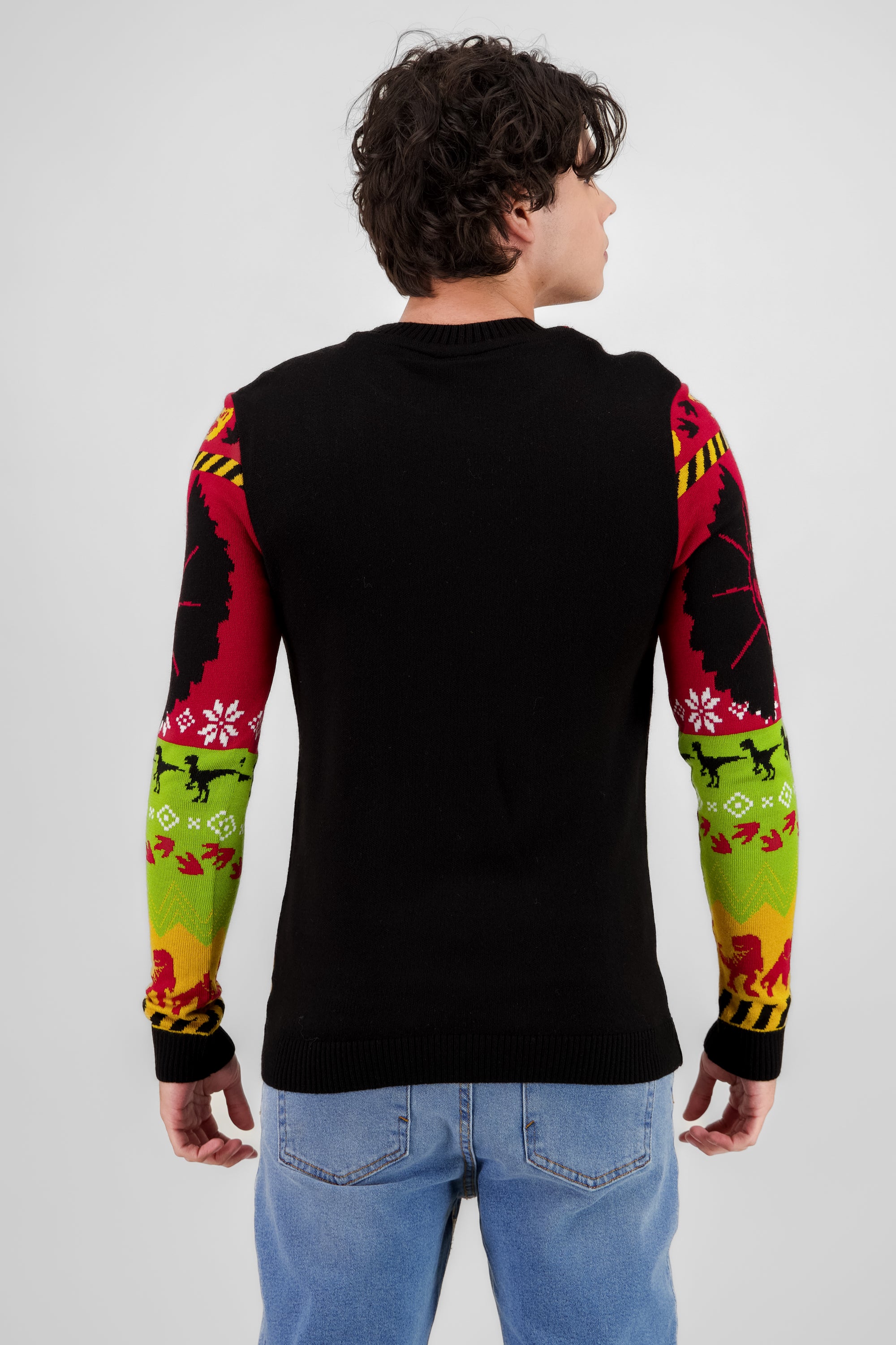 Sweater jurassic park MULTICOLOR BRILLANTE