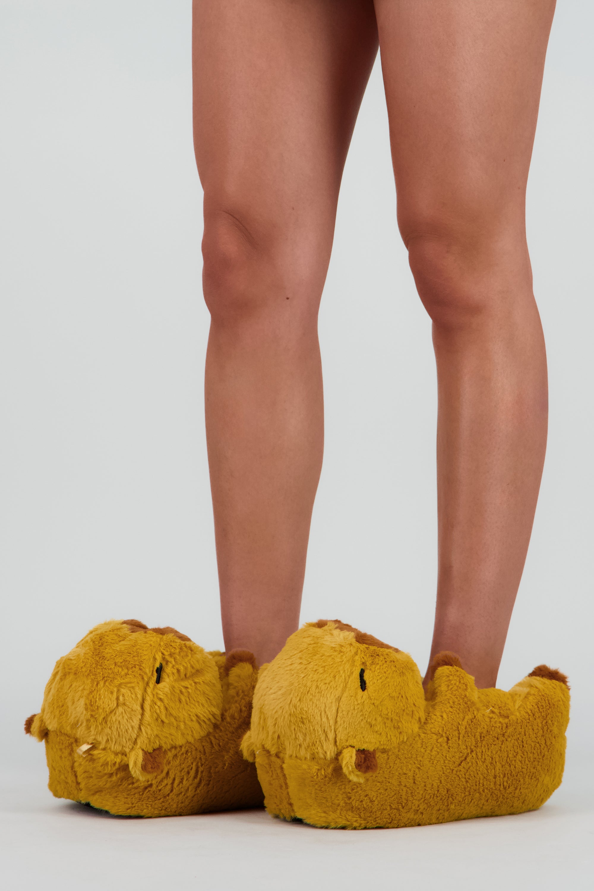 Pantufla capibara