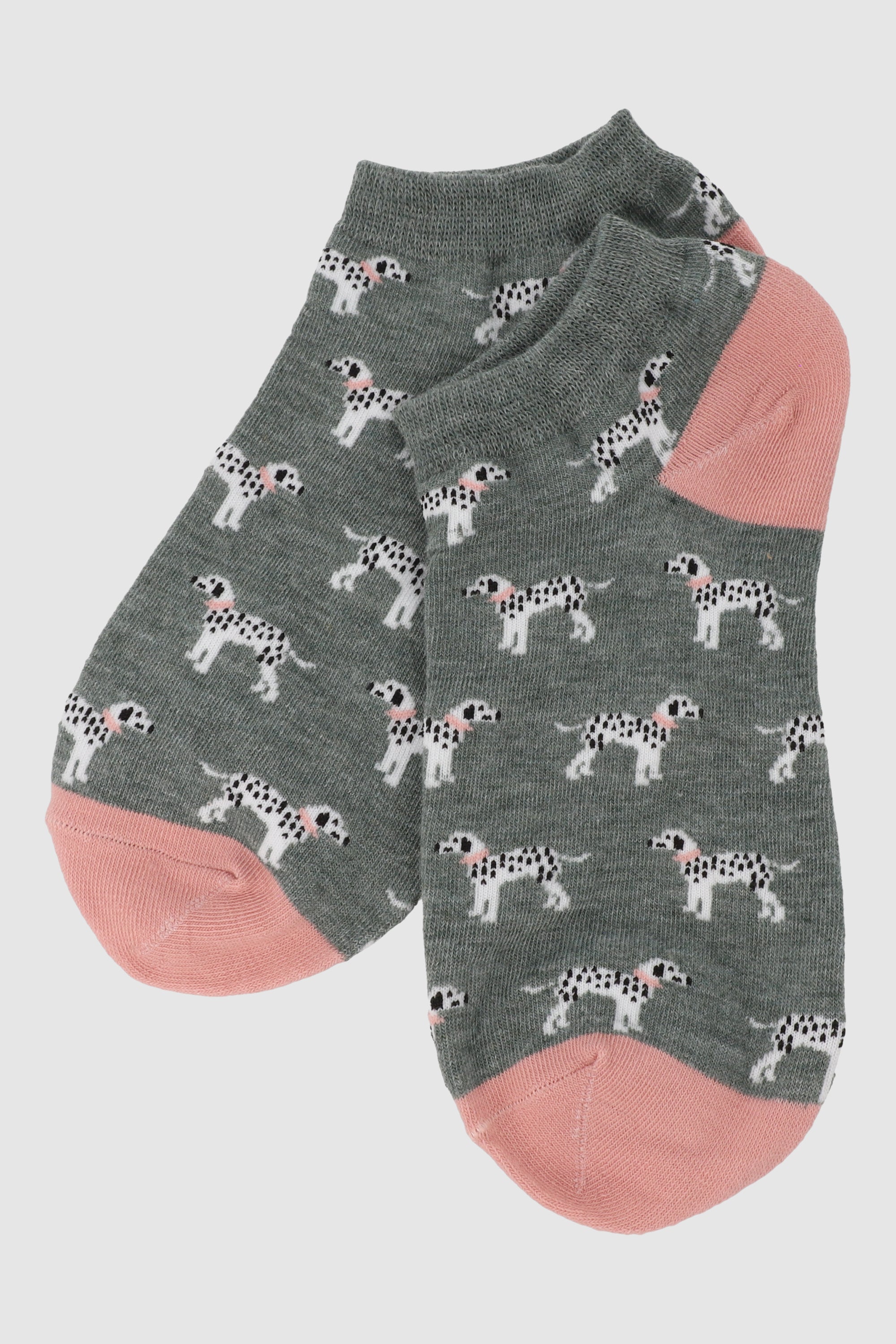 Tin perrito poses ROSA