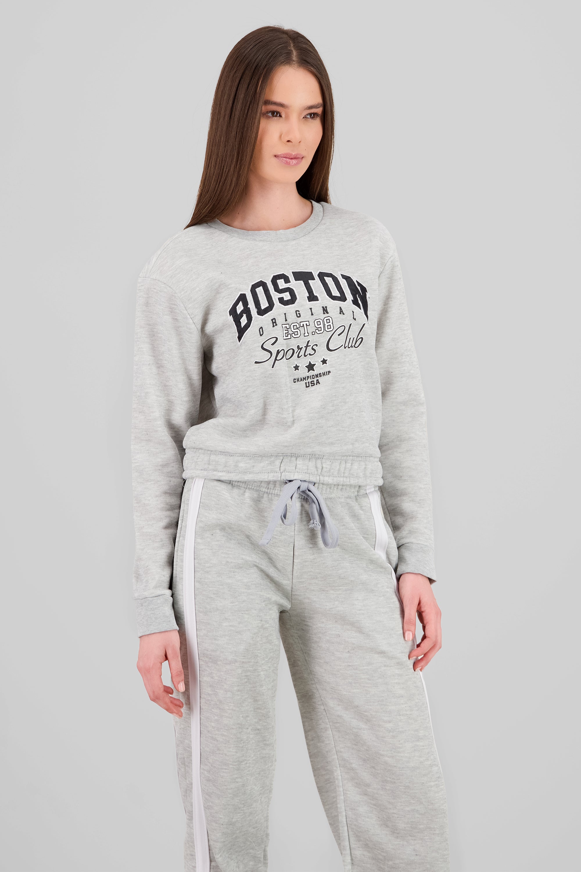 Sudadera de boston cropped GRIS